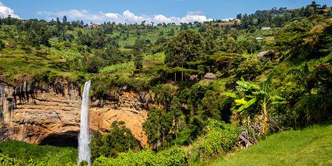 Sipi Falls Hike and Coffee Tour