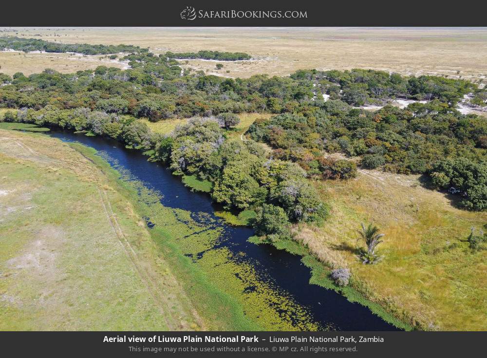 Aerial view of Liuwa Plain National Park in Liuwa Plain National Park, Zambia