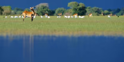 Bangweulu Wetlands