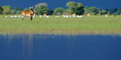 Bangweulu Wetlands