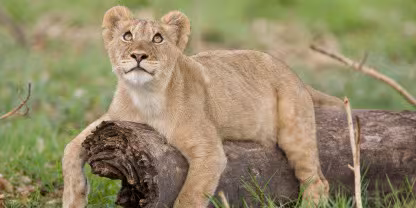 Kafue National Park