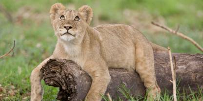 Kafue National Park