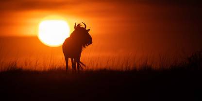 Liuwa Plain National Park