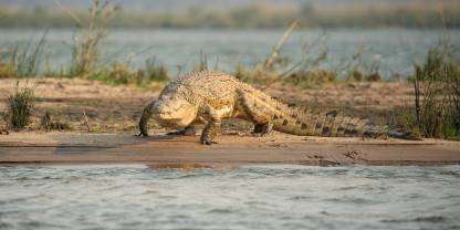 Nsumbu National Park