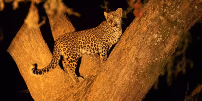 Lower Zambezi National Park