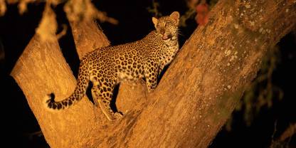 Lower Zambezi National Park