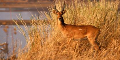 Sioma Ngwezi National Park