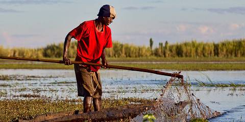 7-Day Lower Zambezi National Park