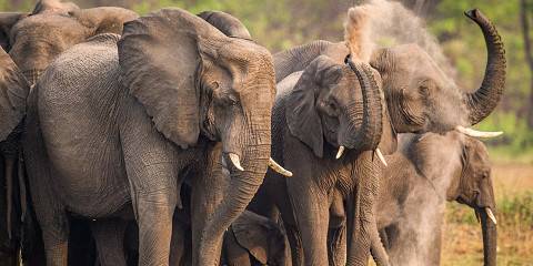 7-Day Kafue National Park