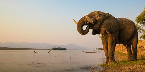 Lower Zambezi Short Canoeing Safari