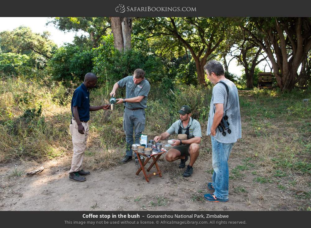 Coffee stop in the bush in Gonarezhou National Park, Zimbabwe
