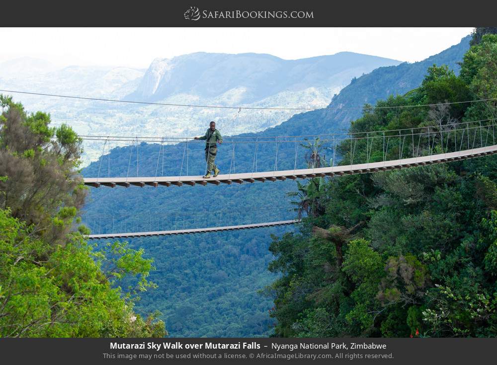 Mutarazi skywalk over Mutarazi Falls in Nyanga National Park, Zimbabwe