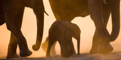 Hwange National Park