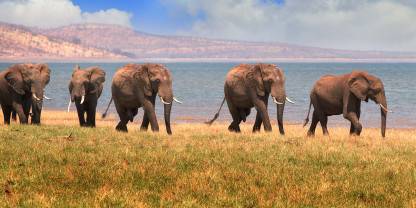 Matusadona National Park