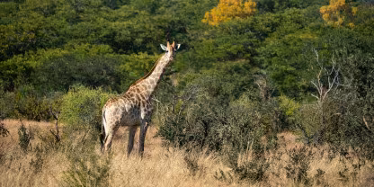Zambezi National Park