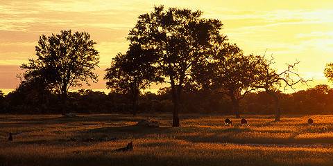 4-Day A Classic Zimbabwe Safari