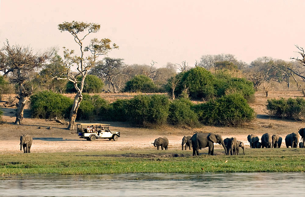 Chobe National Park Travel Guide Map And More