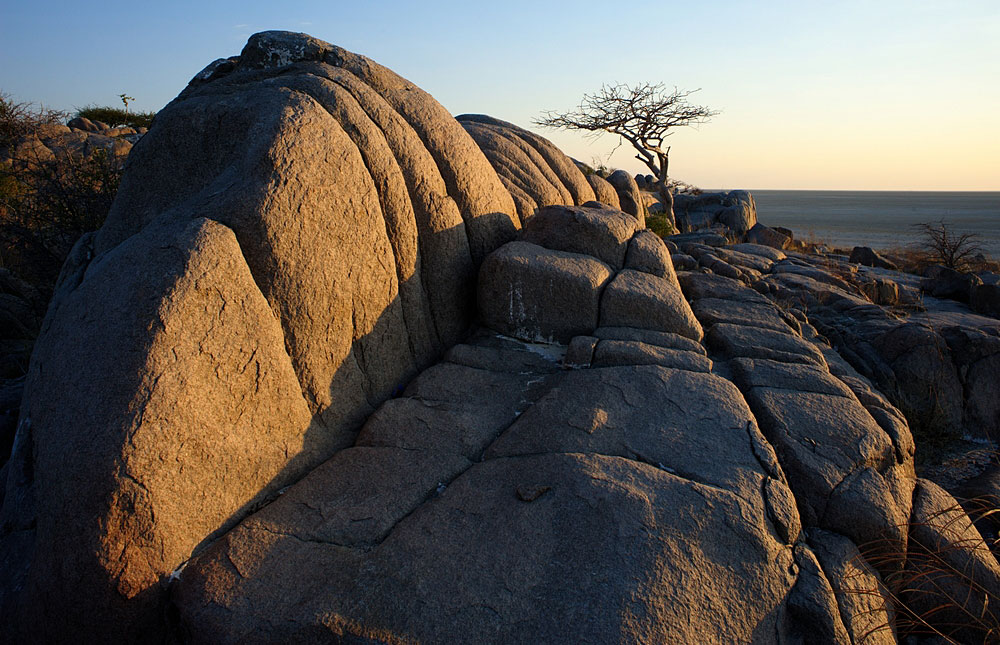 Makgadikgadi Pans National Park – Travel Guide, Map & More!