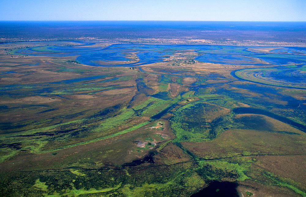 Okavango Delta Photos – Images & Pictures