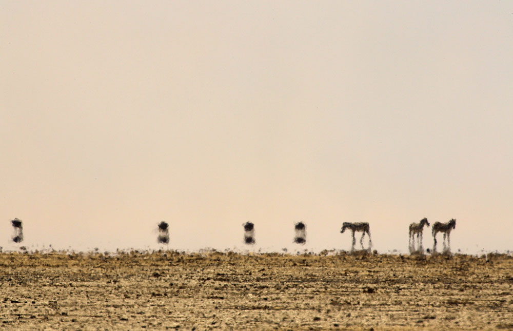 Kenya Dry Season Photos – Award winning images & pictures!