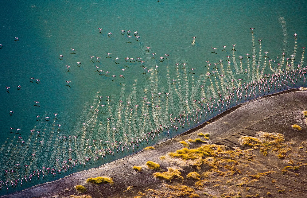 Lake Turkana – Travel Guide, Map & More!