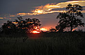 5-Day Maasai Mara Annual Wildebeest Migration