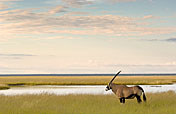 13-Day Namibia Classic Self-Drive