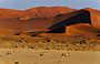 11-Day South Africa and Southern Namibia Self Drive
