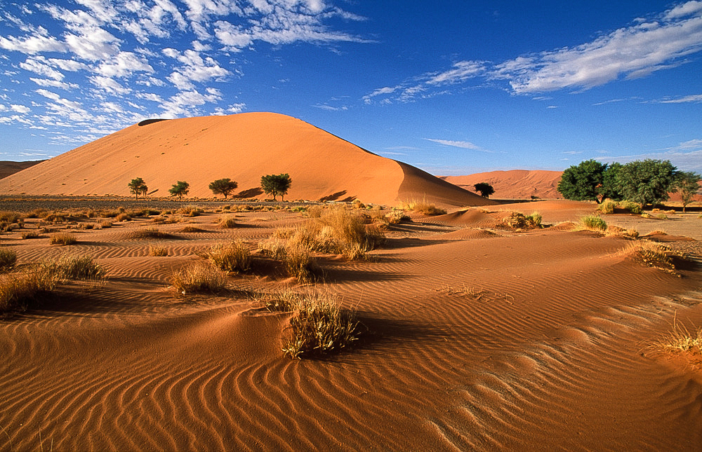 Namib-Naukluft NP Photos – Images & Pictures