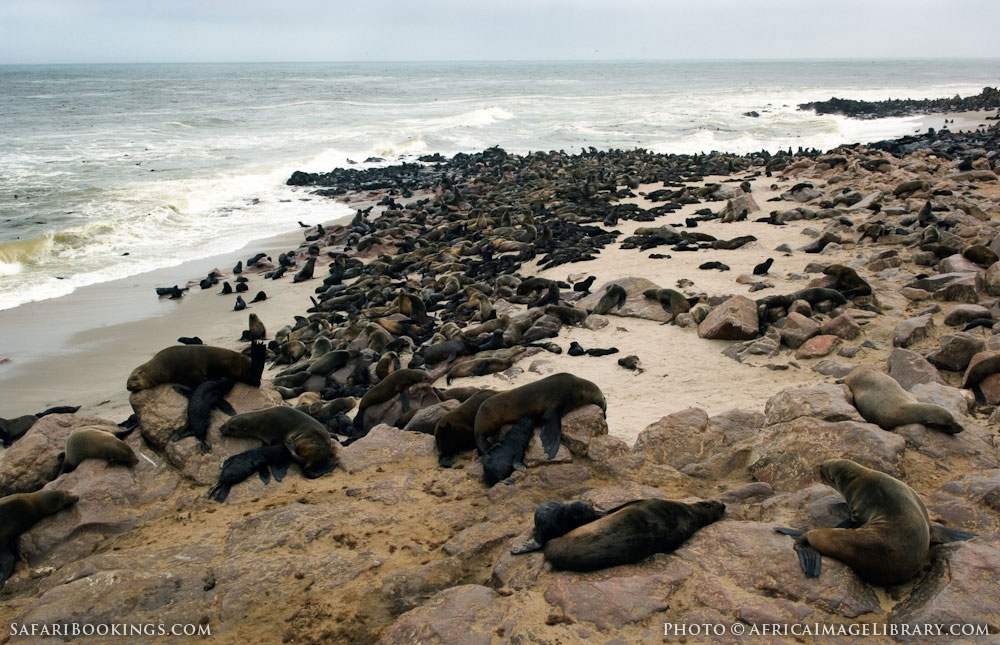 Skeleton Coast National Park – Travel Guide, Map & More!