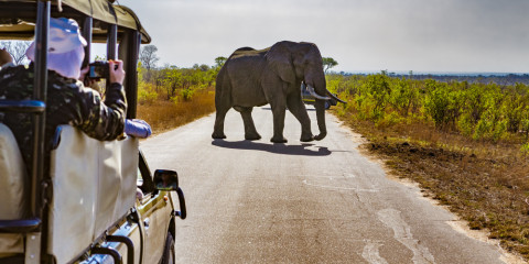 kruger safari holidays