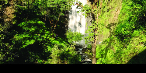 1-Day Materuni Waterfall, Coffee Tour and Hot Lunch