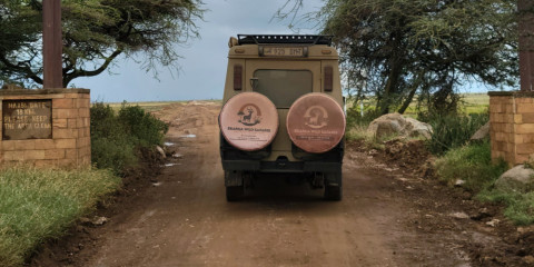 2-Day Serengeti Fly-in Safari from Zanzibar Beach