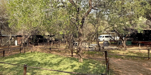 11-Day Victoria Falls Cape Town and Kruger Safari