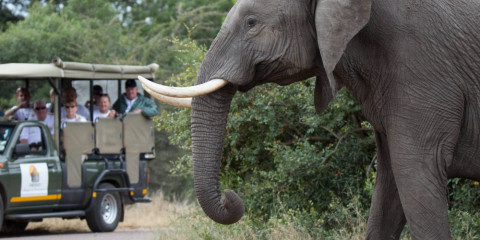 southern africa safari tours