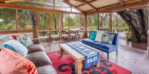 4-Day Manyeleti Ndzhaka Tented Camp Safari