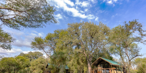 3-Day Exclusive Manyeleti Ndzhaka Tented Safari
