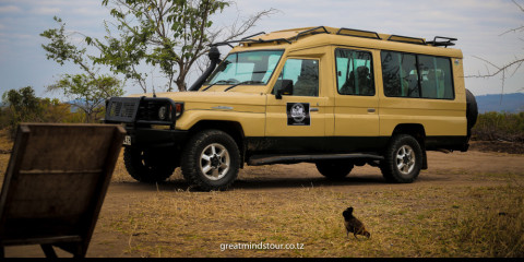 1-Day Drive from Dar Es Salaam to Mikumi National Park