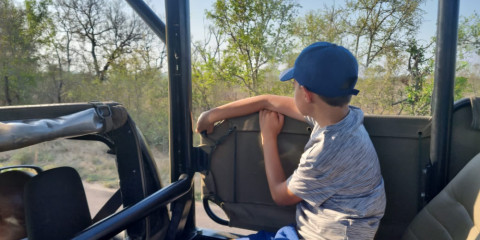 5-Day Kruger Park Safari and Panorama Route Highlights