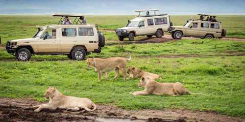 3-Day Into the Wild; Tarangire, Zip Lines & Ngorongoro