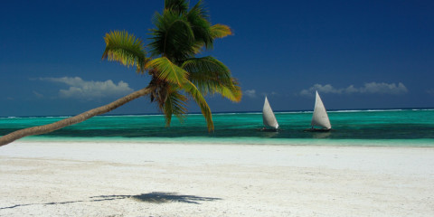 10-Day Tanzania Safari and Zanzibar Beach Extension