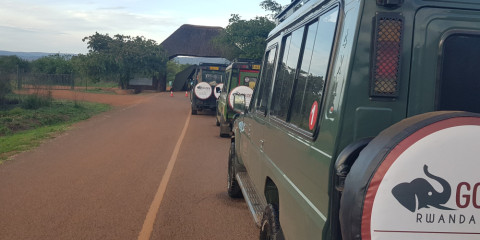 5-Day Rwanda Gorilla Trekking & Akagera National Park