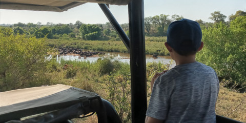 3-Day Traditional Kruger Park Camping Safari