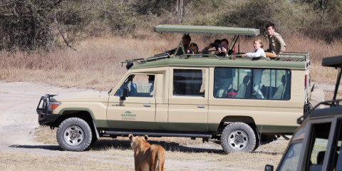 3-Day Serengeti "the Call of the Savannah"Budget Tour