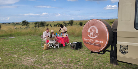 2-Day Serengeti Fly-in Safari from Zanzibar Beach