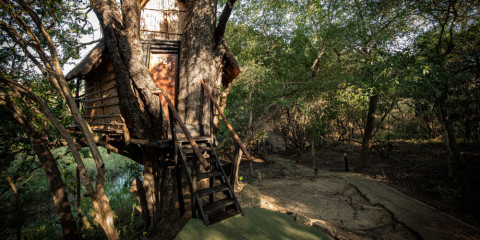 5-Day Tremisana/Treehouse Kruger Park Safari