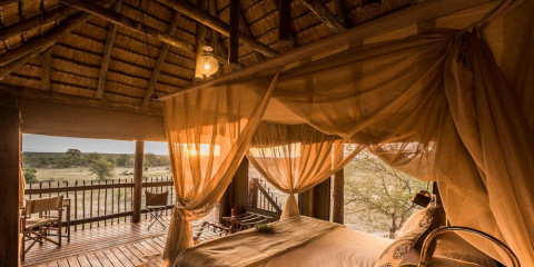 4-Day Kruger Nthambo Tree Camp