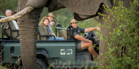 3-Day Luxury Safari at Umkumbe Safari Lodge