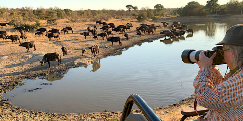 3-Day Kruger Park Quickie Safari