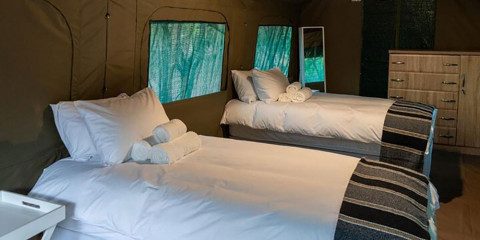 5-Day Sekekama Tented Camp Safari Fly in from Cape Town